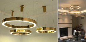 Подвесной светильник Imperiumloft Light Ring Horizontal 40.1454-80 в Челябинске - chelyabinsk.mebel24.online | фото 3