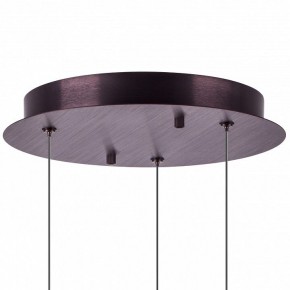Подвесной светильник Lightstar Caramello 796139 в Челябинске - chelyabinsk.mebel24.online | фото 13