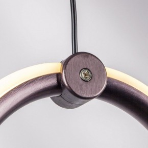 Подвесной светильник Lightstar Caramello 796139 в Челябинске - chelyabinsk.mebel24.online | фото 5