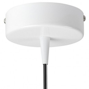 Подвесной светильник Lightstar Conicita 804110 в Челябинске - chelyabinsk.mebel24.online | фото 6