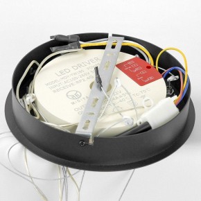 Подвесной светильник Lussole Hale LSP-7380 в Челябинске - chelyabinsk.mebel24.online | фото 6