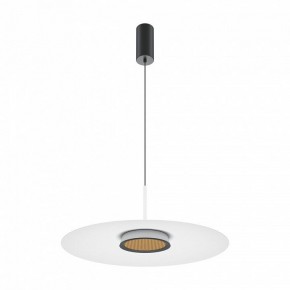 Подвесной светильник Maytoni Halo MOD041PL-L15W3K1 в Челябинске - chelyabinsk.mebel24.online | фото 2