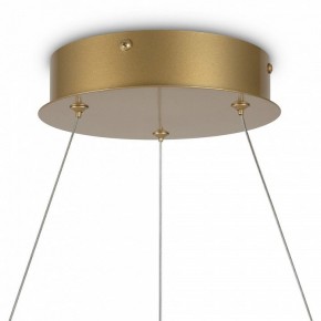 Подвесной светильник Maytoni Halo MOD100PL-L88BSK1 в Челябинске - chelyabinsk.mebel24.online | фото 6
