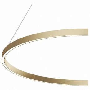 Подвесной светильник Maytoni Rim MOD058PL-L54BS4K в Челябинске - chelyabinsk.mebel24.online | фото 5
