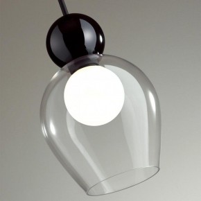 Подвесной светильник Odeon Light Blacky 2 5023/1 в Челябинске - chelyabinsk.mebel24.online | фото 6