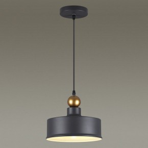 Подвесной светильник Odeon Light Bolli 4088/1 в Челябинске - chelyabinsk.mebel24.online | фото 4