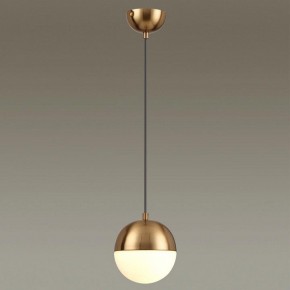 Подвесной светильник Odeon Light Pinga 4960/1 в Челябинске - chelyabinsk.mebel24.online | фото 2