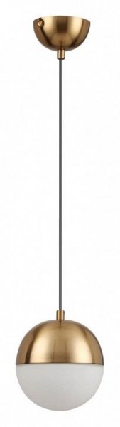 Подвесной светильник Odeon Light Pinga 4960/1 в Челябинске - chelyabinsk.mebel24.online | фото 3