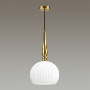 Подвесной светильник Odeon Light Runga 4766/1 в Челябинске - chelyabinsk.mebel24.online | фото 4