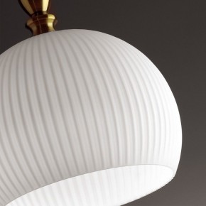 Подвесной светильник Odeon Light Runga 4766/1 в Челябинске - chelyabinsk.mebel24.online | фото 8