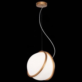 Подвесной светильник ST-Luce Acerra SL1181.353.01 в Челябинске - chelyabinsk.mebel24.online | фото 4