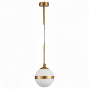 Подвесной светильник ST-Luce Arbe SL1157.303.01 в Челябинске - chelyabinsk.mebel24.online | фото 2