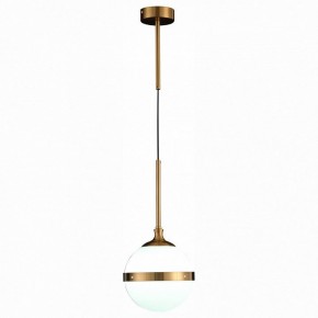 Подвесной светильник ST-Luce Arbe SL1157.303.01 в Челябинске - chelyabinsk.mebel24.online | фото 3