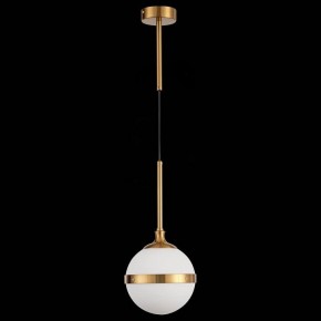 Подвесной светильник ST-Luce Arbe SL1157.303.01 в Челябинске - chelyabinsk.mebel24.online | фото 4