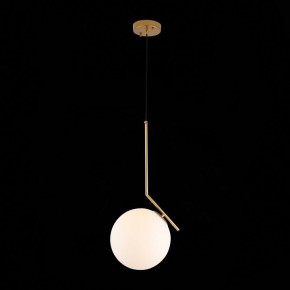 Подвесной светильник ST-Luce Codda SL1148.303.01 в Челябинске - chelyabinsk.mebel24.online | фото 5