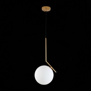 Подвесной светильник ST-Luce Codda SL1148.303.01 в Челябинске - chelyabinsk.mebel24.online | фото 6