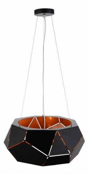 Подвесной светильник ST-Luce Enigma SL258.403.06 в Челябинске - chelyabinsk.mebel24.online | фото 2
