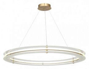 Подвесной светильник ST-Luce FAGY SL6245.213.01 в Челябинске - chelyabinsk.mebel24.online | фото 4