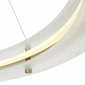 Подвесной светильник ST-Luce FAGY SL6245.213.01 в Челябинске - chelyabinsk.mebel24.online | фото 6