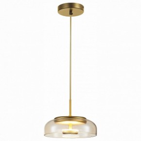 Подвесной светильник ST-Luce Lacio SL6002.203.01 в Челябинске - chelyabinsk.mebel24.online | фото