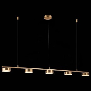Подвесной светильник ST-Luce Pances SL6000.303.05 в Челябинске - chelyabinsk.mebel24.online | фото 5
