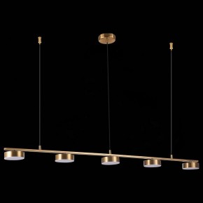 Подвесной светильник ST-Luce Pances SL6000.303.05 в Челябинске - chelyabinsk.mebel24.online | фото 6