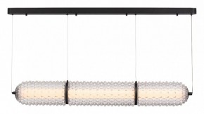 Подвесной светильник ST-Luce SAGUARO SL6144.413.01 в Челябинске - chelyabinsk.mebel24.online | фото 2