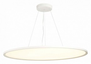 Подвесной светильник ST-Luce ST602 ST602.543.120 в Челябинске - chelyabinsk.mebel24.online | фото 3