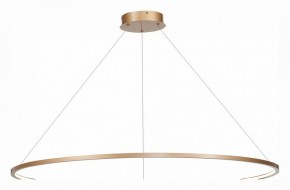 Подвесной светильник ST-Luce ST603 IN ST603.243.57 в Челябинске - chelyabinsk.mebel24.online | фото 3