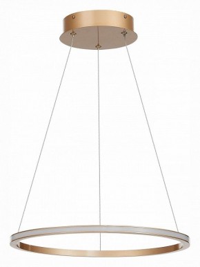 Подвесной светильник ST-Luce ST604 OUT ST604.243.22 в Челябинске - chelyabinsk.mebel24.online | фото 2