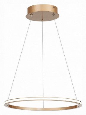 Подвесной светильник ST-Luce ST604 OUT ST604.243.22 в Челябинске - chelyabinsk.mebel24.online | фото 3