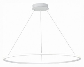 Подвесной светильник ST-Luce ST604 OUT ST604.543.57 в Челябинске - chelyabinsk.mebel24.online | фото 3