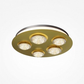 Потолочная люстра Maytoni Pharao MOD361CL-L58BS3K в Челябинске - chelyabinsk.mebel24.online | фото