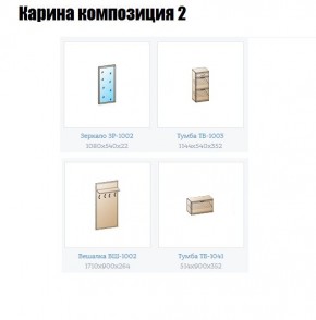 Прихожая Карина (модульная) в Челябинске - chelyabinsk.mebel24.online | фото 6