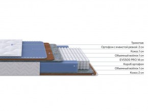 PROxSON Матрас Active Duo M/F (Ткань Трикотаж Эко) 200x190 в Челябинске - chelyabinsk.mebel24.online | фото 1