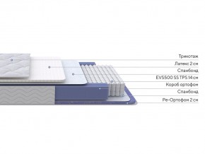 PROxSON Матрас Active Duo S/F (Ткань Трикотаж Эко) 120x190 в Челябинске - chelyabinsk.mebel24.online | фото 2