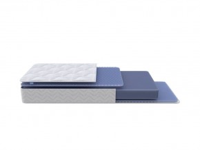 PROxSON Матрас Active Flex M (Ткань Трикотаж Эко) 160x195 в Челябинске - chelyabinsk.mebel24.online | фото 1