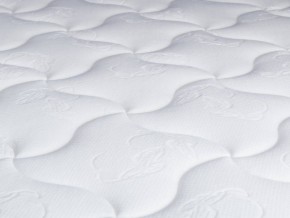 PROxSON Матрас Active Flex M (Ткань Трикотаж Эко) 160x195 в Челябинске - chelyabinsk.mebel24.online | фото 9