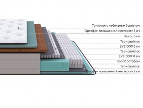 PROxSON Матрас Elysium Firm (Трикотаж Spiral-RT) 120x200 в Челябинске - chelyabinsk.mebel24.online | фото 2