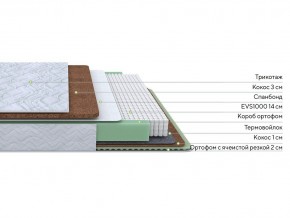 PROxSON Матрас Green Duo M/F (Tricotage Dream) 80x200 в Челябинске - chelyabinsk.mebel24.online | фото 1