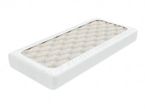 PROxSON Защитный чехол Aqua Save Light S (Ткань влагостойкая Tencel Jersey) 200x200 в Челябинске - chelyabinsk.mebel24.online | фото 2