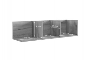 РИЧ Полка навесная 2 в Челябинске - chelyabinsk.mebel24.online | фото 3