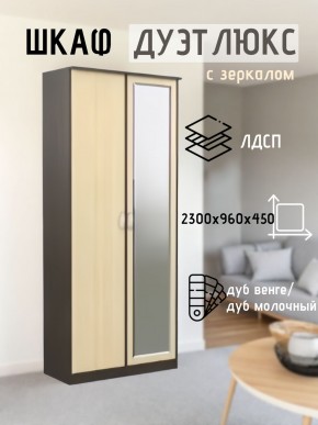 Шкаф 2-х створчатый Дуэт Люкс с зеркалом в Челябинске - chelyabinsk.mebel24.online | фото