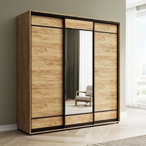 Шкаф-купе Акцент-Лайт ДЗ 2400-600 в Челябинске - chelyabinsk.mebel24.online | фото 4