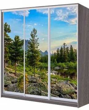 Шкаф-купе ХИТ 22-20/2-777 ПРИРОДА в Челябинске - chelyabinsk.mebel24.online | фото