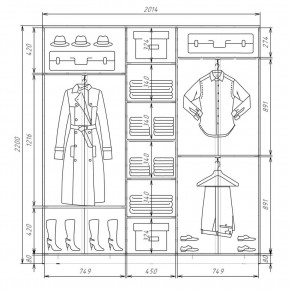 Шкаф-купе ХИТ 22-4-20-555 (420) в Челябинске - chelyabinsk.mebel24.online | фото 2