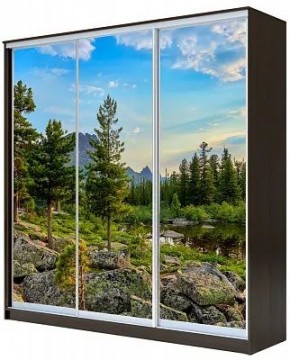 Шкаф-купе ХИТ 23-20-777 ПРИРОДА в Челябинске - chelyabinsk.mebel24.online | фото
