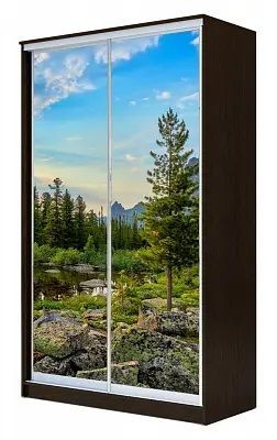 Шкаф-купе ХИТ 23-4-15-77 ПРИРОДА в Челябинске - chelyabinsk.mebel24.online | фото