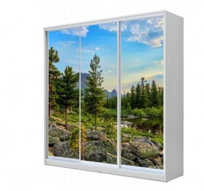 Шкаф-купе ХИТ 23-4-20-777 (420) в Челябинске - chelyabinsk.mebel24.online | фото