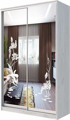 Шкаф-купе ХИТ 24-14-66 ЦАПЛИ в Челябинске - chelyabinsk.mebel24.online | фото